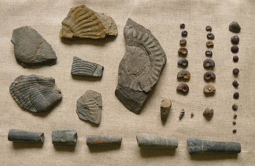 our finds 12/02/2011