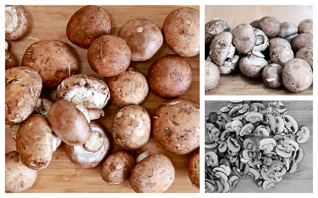 mushroom soup collage