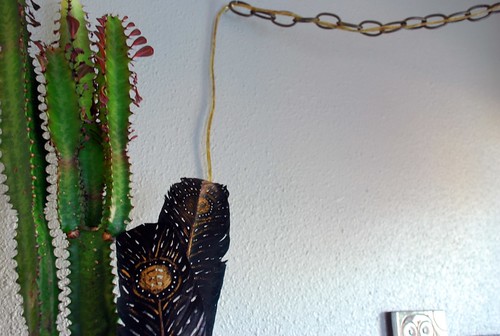 cactus and feathers