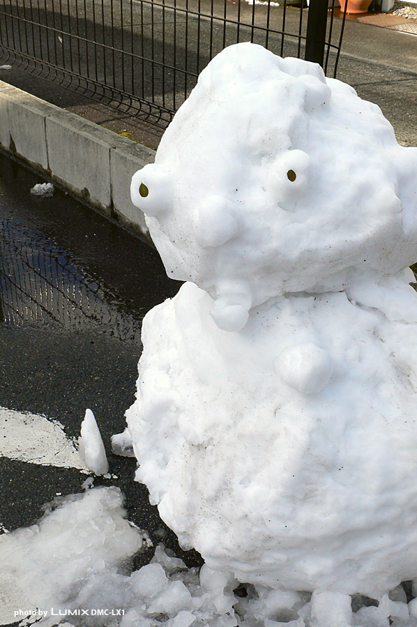 雪だるま｜滋賀県野洲