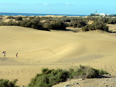 Gran Canaria - Maspalomas Dunes in Winter