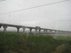 Torino - Bologna, 28.3.11, in viaggio per la Fiera (BCBF), 3