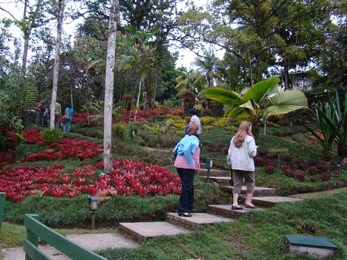 Jardín Botánico Wilson, Estación Las Cruces