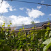 53-Panneaux photovoltaïques, école de Confignon • <a style="font-size:0.8em;" href="http://www.flickr.com/photos/63055067@N06/5736374144/" target="_blank">View on Flickr</a>