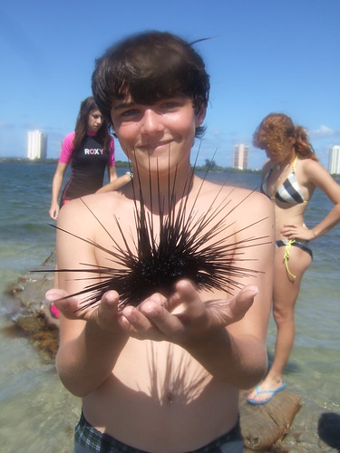 Matthew with long-spined urchin