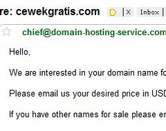 Penipuan pembelian nama domain