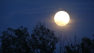 Full moon, From FlickrPhotos