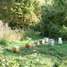 Artificial beehives @ Parc de l'Ile Saint-Germain @ Paris