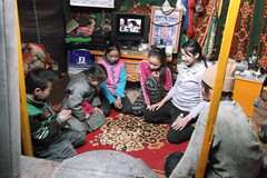 MONGOLIA Bayarmaa Baljinnyam's family play shagai, a traditional game using bones.