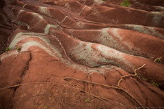 Cheltenham Badlands Mineral Deposits • <a style="font-size:0.8em;" href="http://www.flickr.com/photos/65051383@N05/9882404796/" target="_blank">View on Flickr</a>