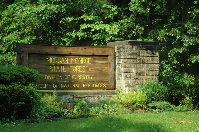 Morgan-Monroe State Forest