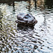 Pond Sculpture, Hilton Head Island