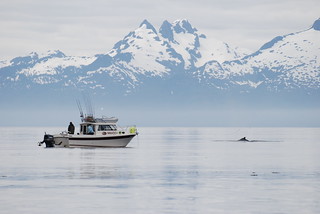 Alaska Fishing Lodge - Sitka 15