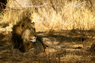 Namibia Photo Safari 26