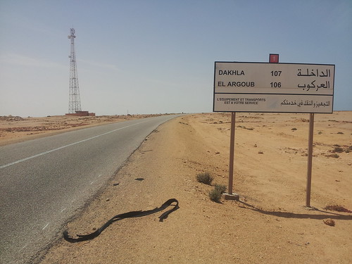 Autostop, Sahara Occidental