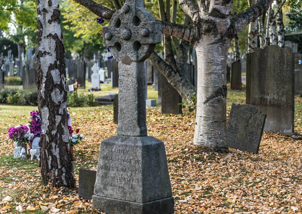 A QUICK VISIT TO GLASNEVIN CEMETERY[SONY F2.8 70-200 GM LENS]-122054