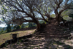 Vat Phou, temple Khmer au Laos