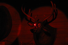 Max the Whitetail Deer as Rudolph  in the Country Bears Christmas Special • <a style="font-size:0.8em;" href="http://www.flickr.com/photos/28558260@N04/31226267442/" target="_blank">View on Flickr</a>