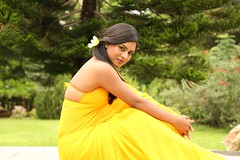 South Actress Deepika Das Hot in Yellow Sari Photos Set-2 (5)