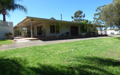 59 York St, Forbes NSW 2871