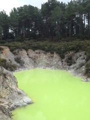 Wai-O-Tapu sources géothermales