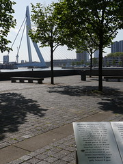 Rotterdam076