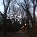 26th July 2013: Walking Home