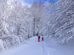 Escursione nella neve