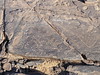 Grabados rupestres en Taouz