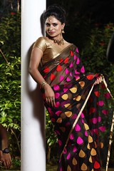 South Actress Deepika Das Traditional Photos Set-1 (16)