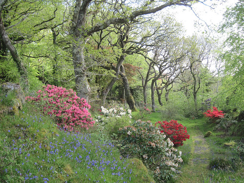 Dunmore Villa Garden