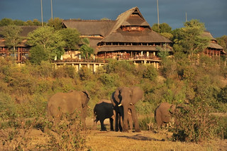 Victoria Falls Safari Lodge Signature Shot