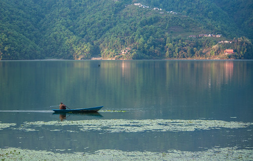 Fisherman on Phewa Lake