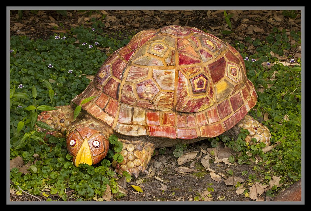 Turtle looking for grass-1= by Sheba_Also Thanks for 8.5 Million + views, on Flickr