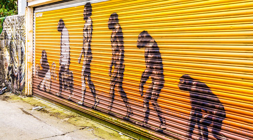 STREET ART IN DUBLIN - CABRA PARK URBAN GALLERY
