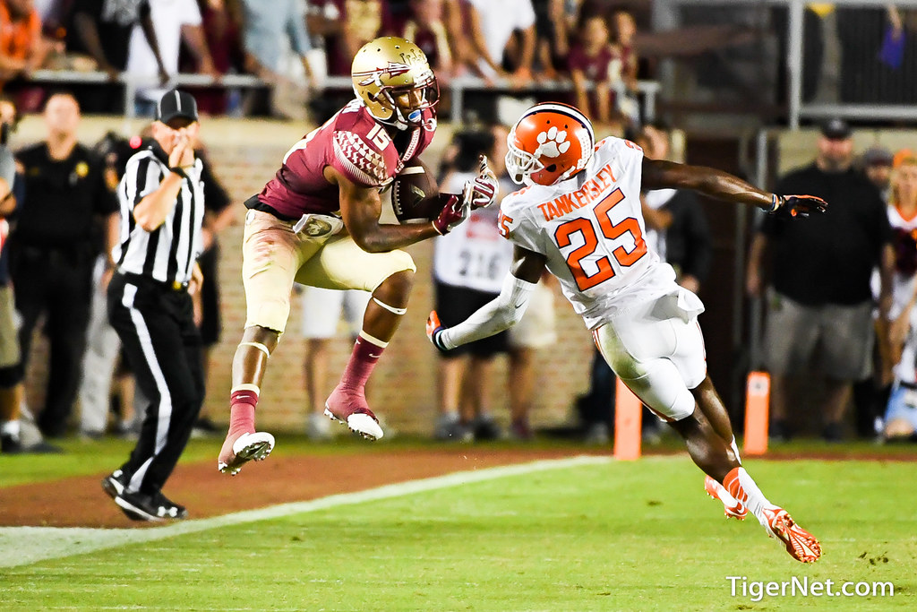 Clemson Football Photo of Cordrea Tankersley and Florida State