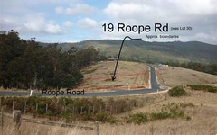 19 Roope Road, Lower Barrington TAS