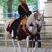 Bronze Traditionale Arabian Riding LACh Kaja Dembinska & Echo Apollo POL 1301