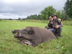 Wild Boar Hunting in Estonia - Nordic Hunting CLub