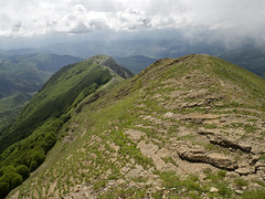 Escursionismo App. Lucano - Monte Alpi
