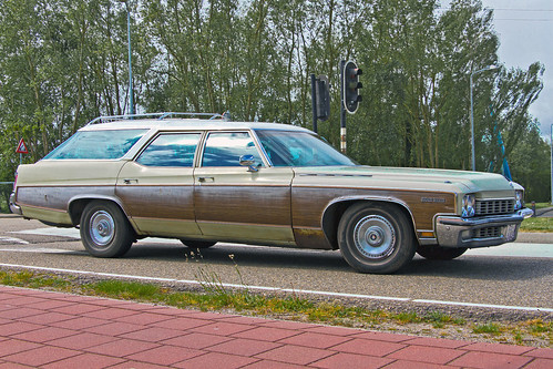 Buick Estate Wagon 1972 (1207)