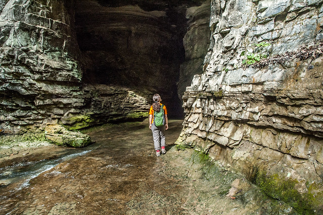 Donaldson's Cave - Spring Mill State Park - June 8, 2014