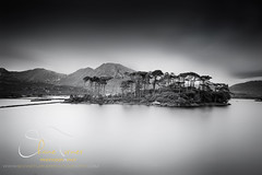Derryclare Lough, Co. Galway