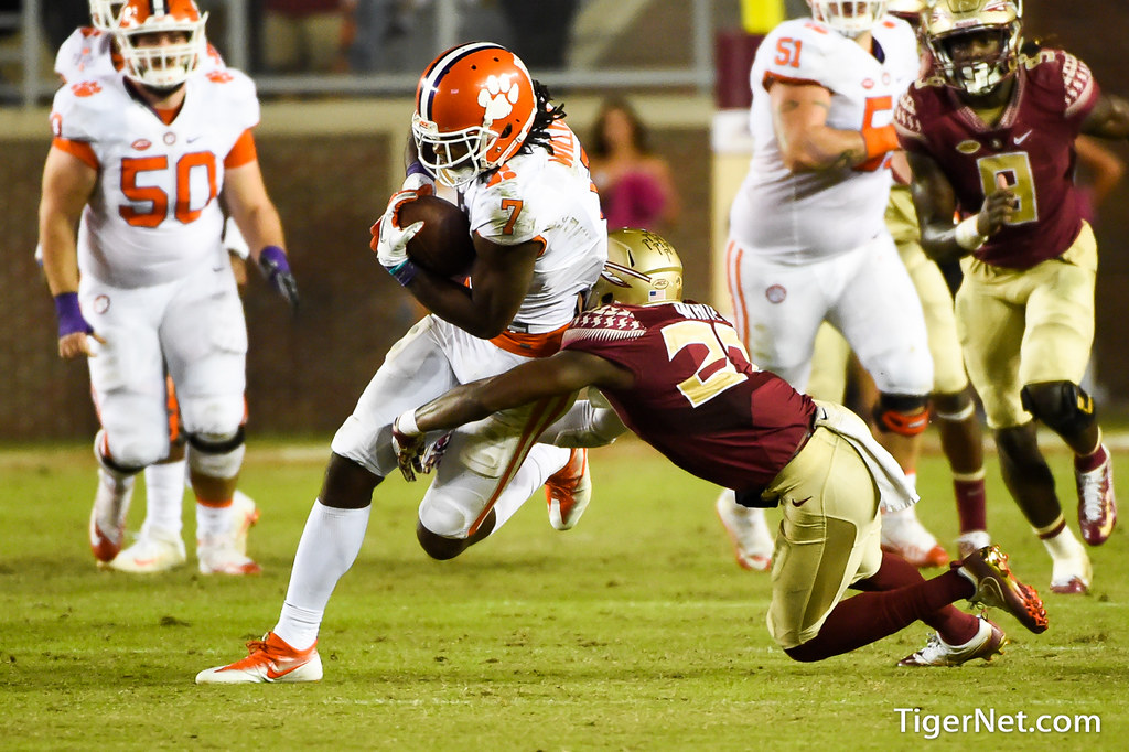 Clemson Football Photo of Mike Williams and Florida State