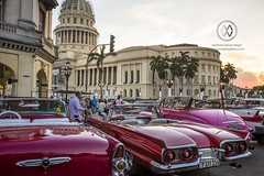 Old cars on display at Parque Central in Havana.