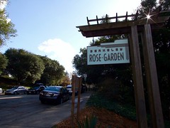 Berkeley Rose Garden sign • <a style="font-size:0.8em;" href="http://www.flickr.com/photos/34843984@N07/31298240482/" target="_blank">View on Flickr</a>