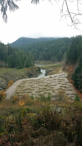 Elwha River • <a style="font-size:0.8em;" href="http://www.flickr.com/photos/106477439@N08/10998829575/" target="_blank">View on Flickr</a>