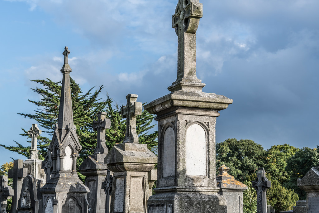 A QUICK VISIT TO GLASNEVIN CEMETERY[SONY F2.8 70-200 GM LENS]-122120