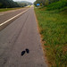 Shoes on the way into Tennessee (on HWY 64).