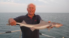 Mike Hansell record smoothhound • <a style="font-size:0.8em;" href="http://www.flickr.com/photos/113772263@N05/11834950293/" target="_blank">View on Flickr</a>